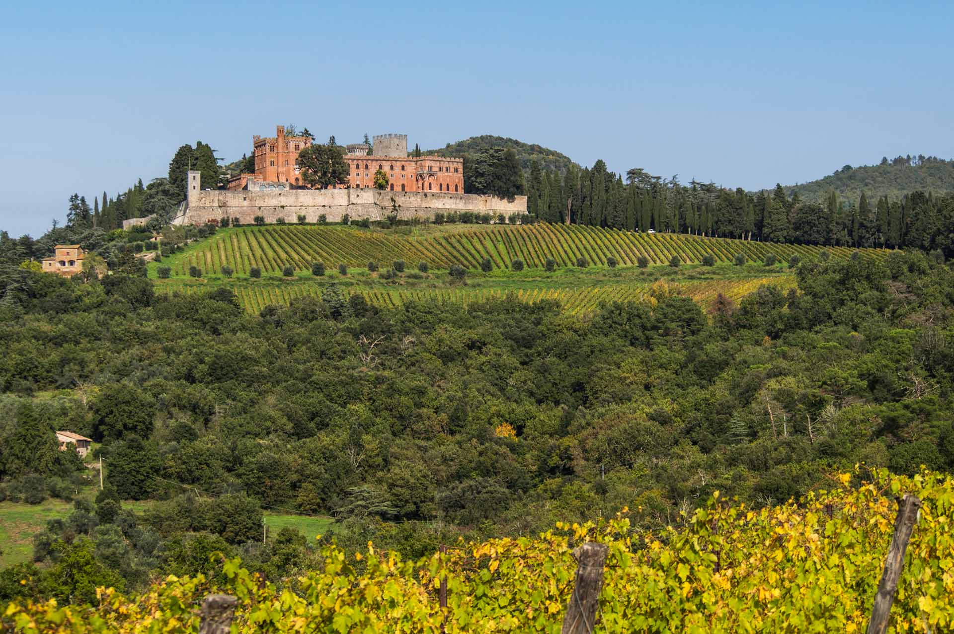 slice adventures - bike tour operator siena- immagine panorama chianti