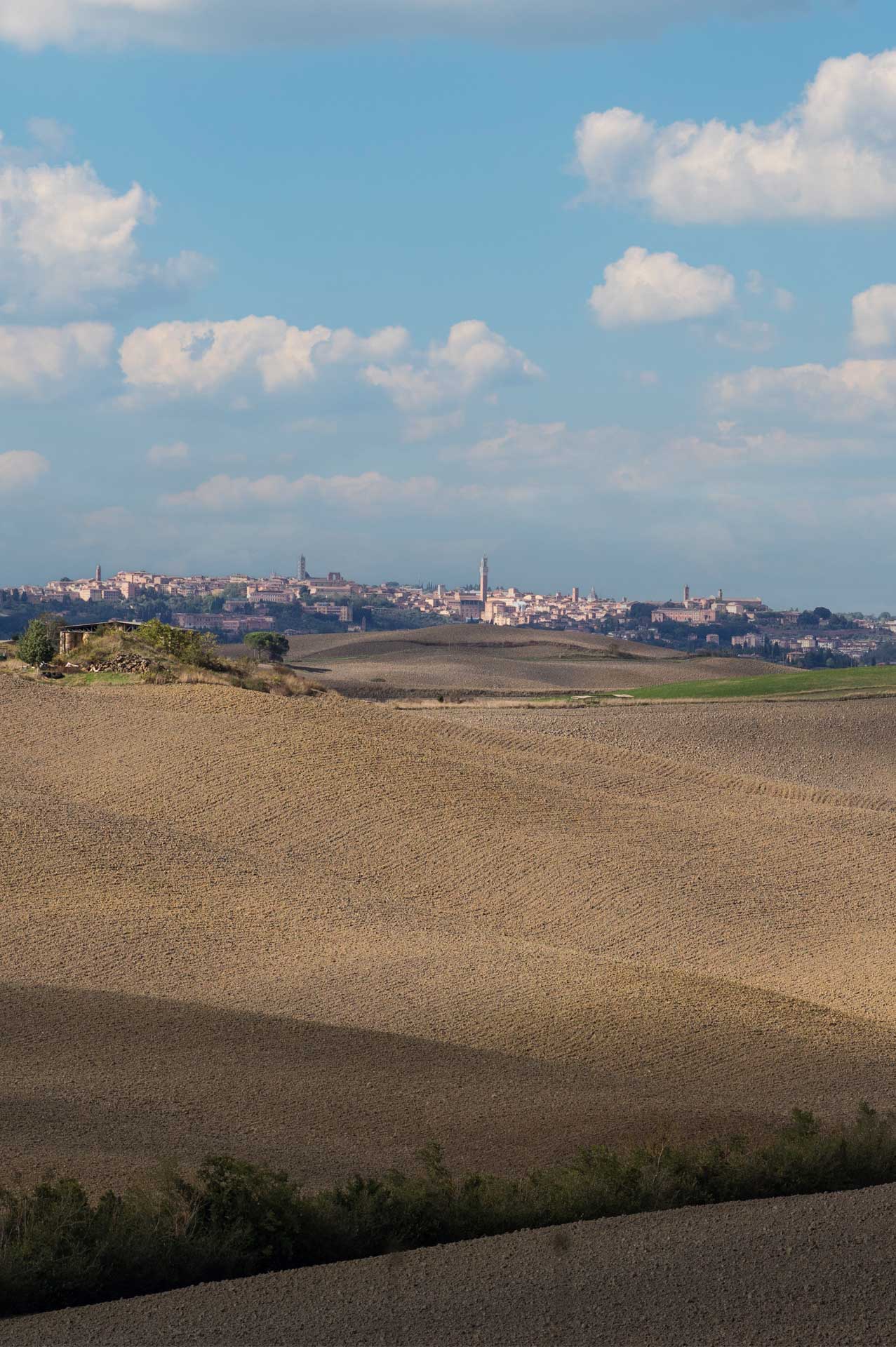 slice adventures - bike tour operator- immagine panorama siena