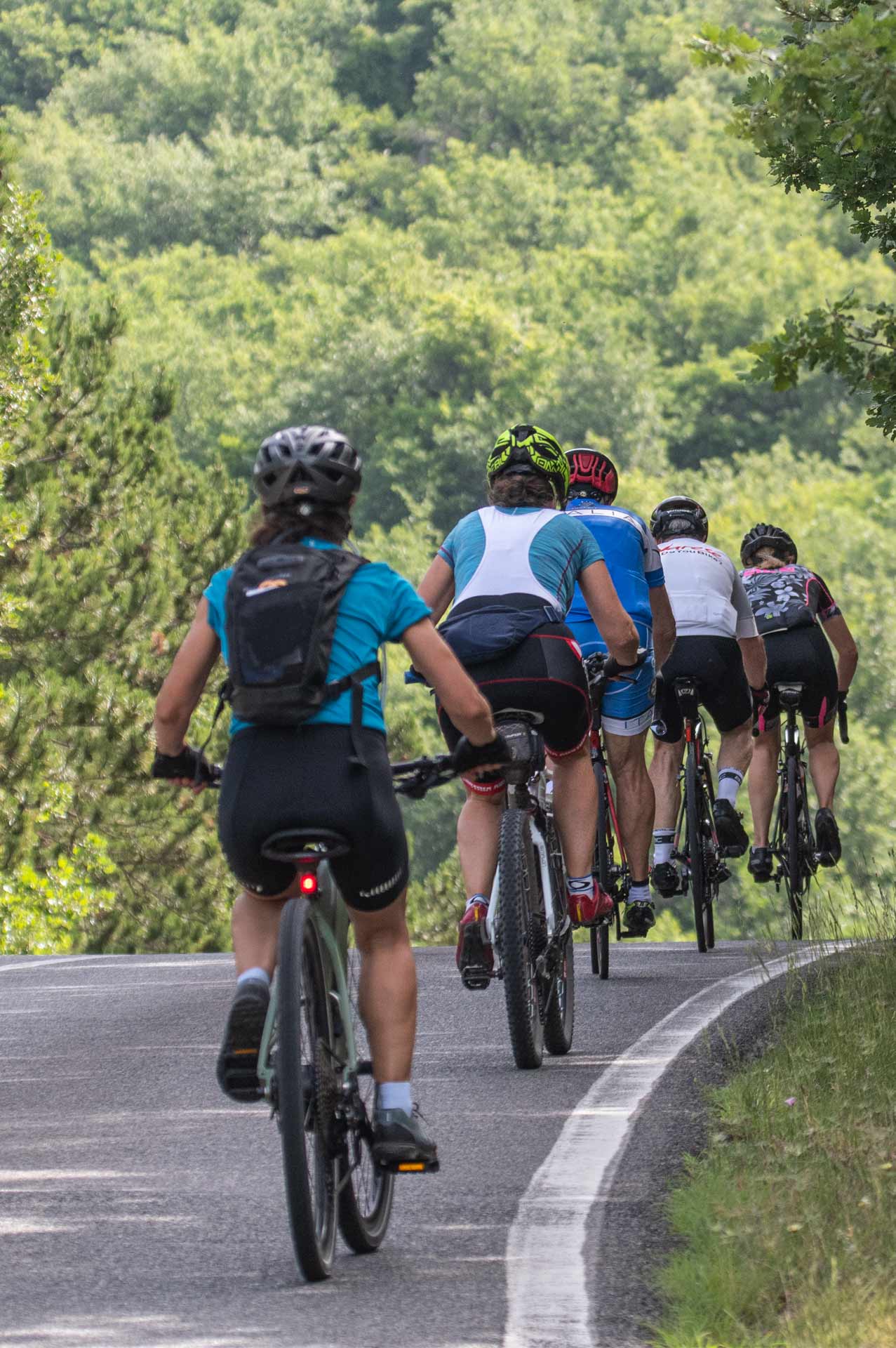 slice adventures - bike tour operator siena- immagine panorama chianti