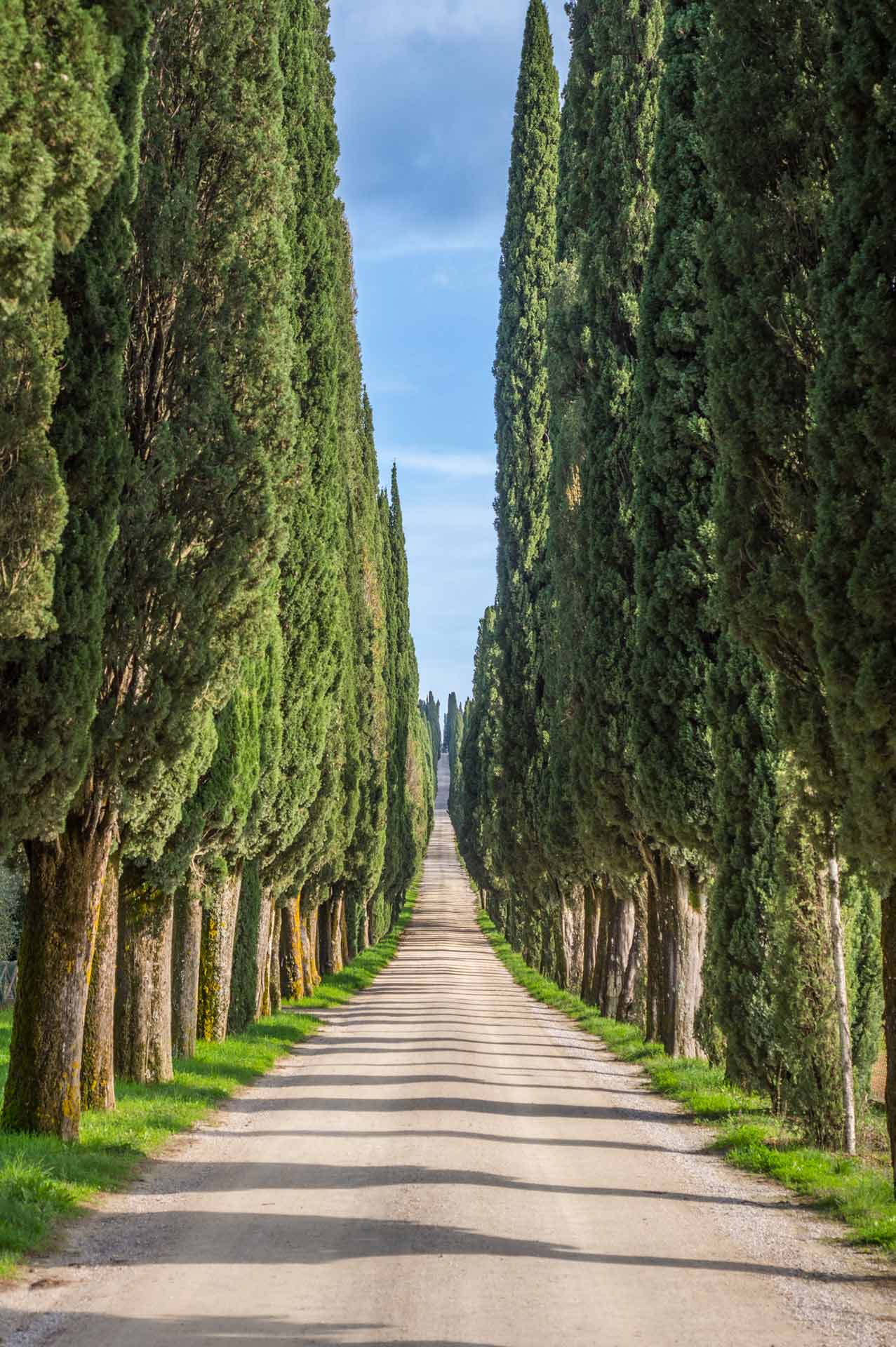 slice adventures - bike tour operator siena- immagine panorama chianti