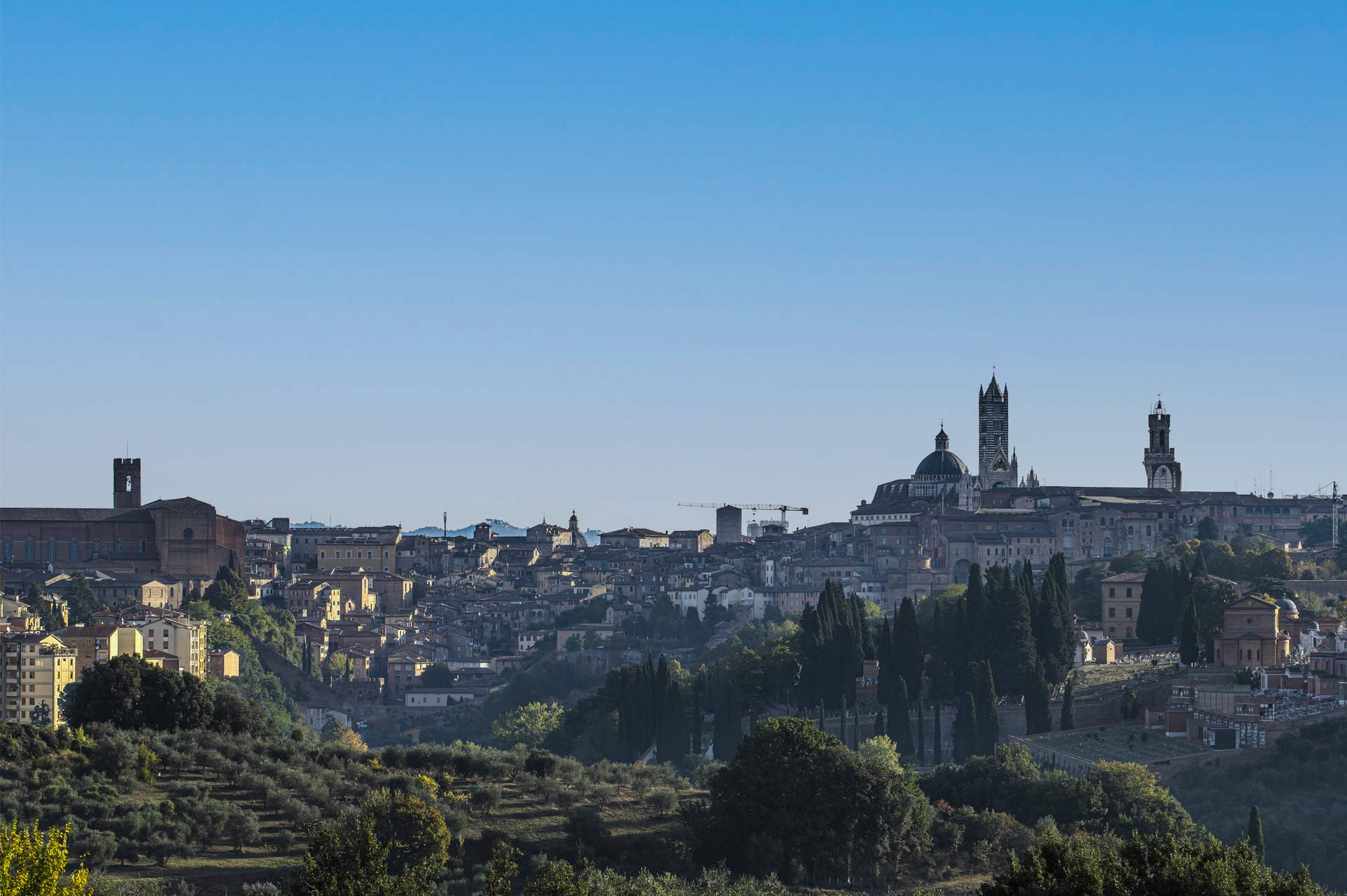 slice adventures - bike tour operator siena- immagine panorama siena