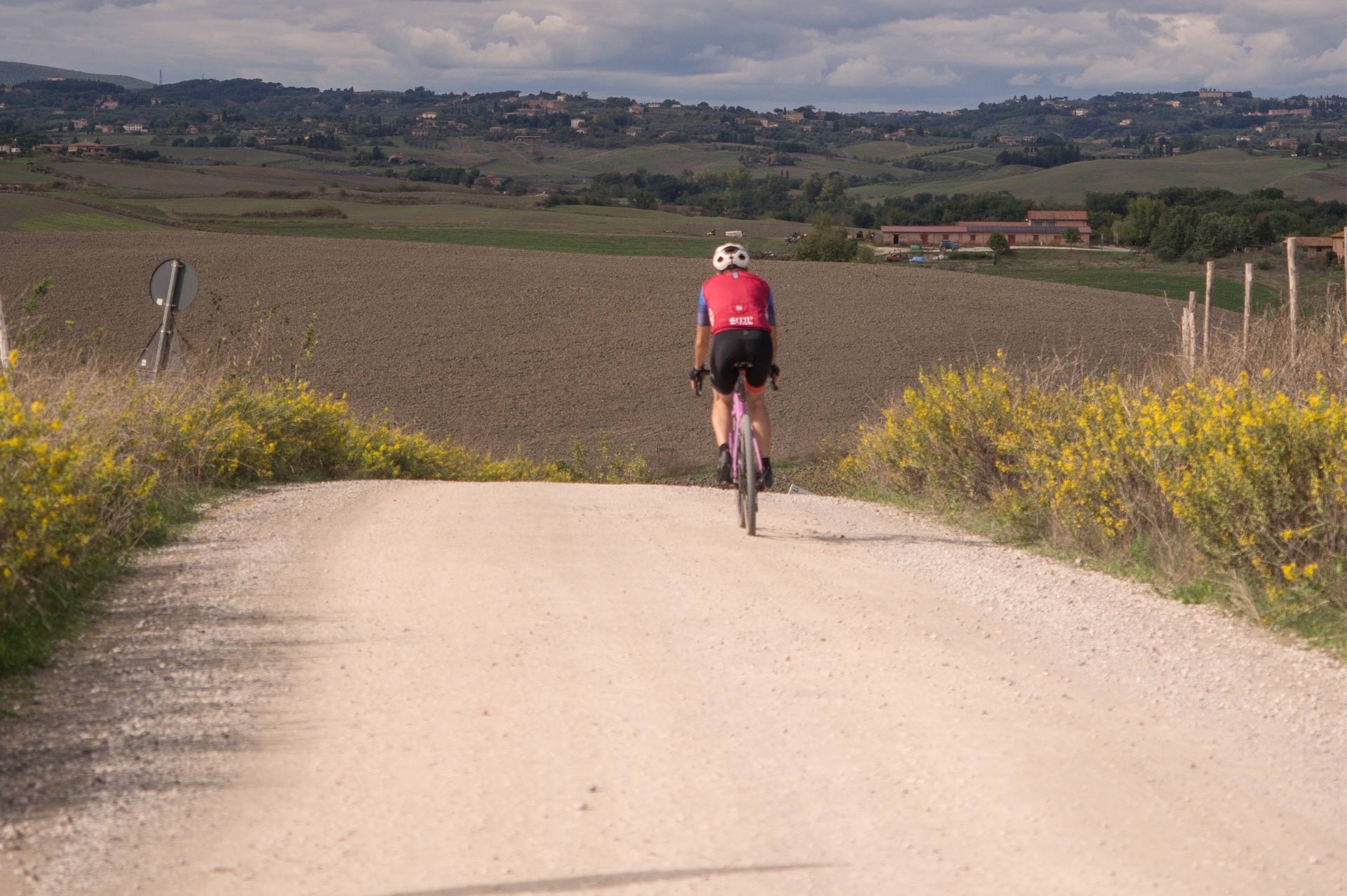 slice adventures - bike tour operator siena- immagine panorama eroica, val d'orcia