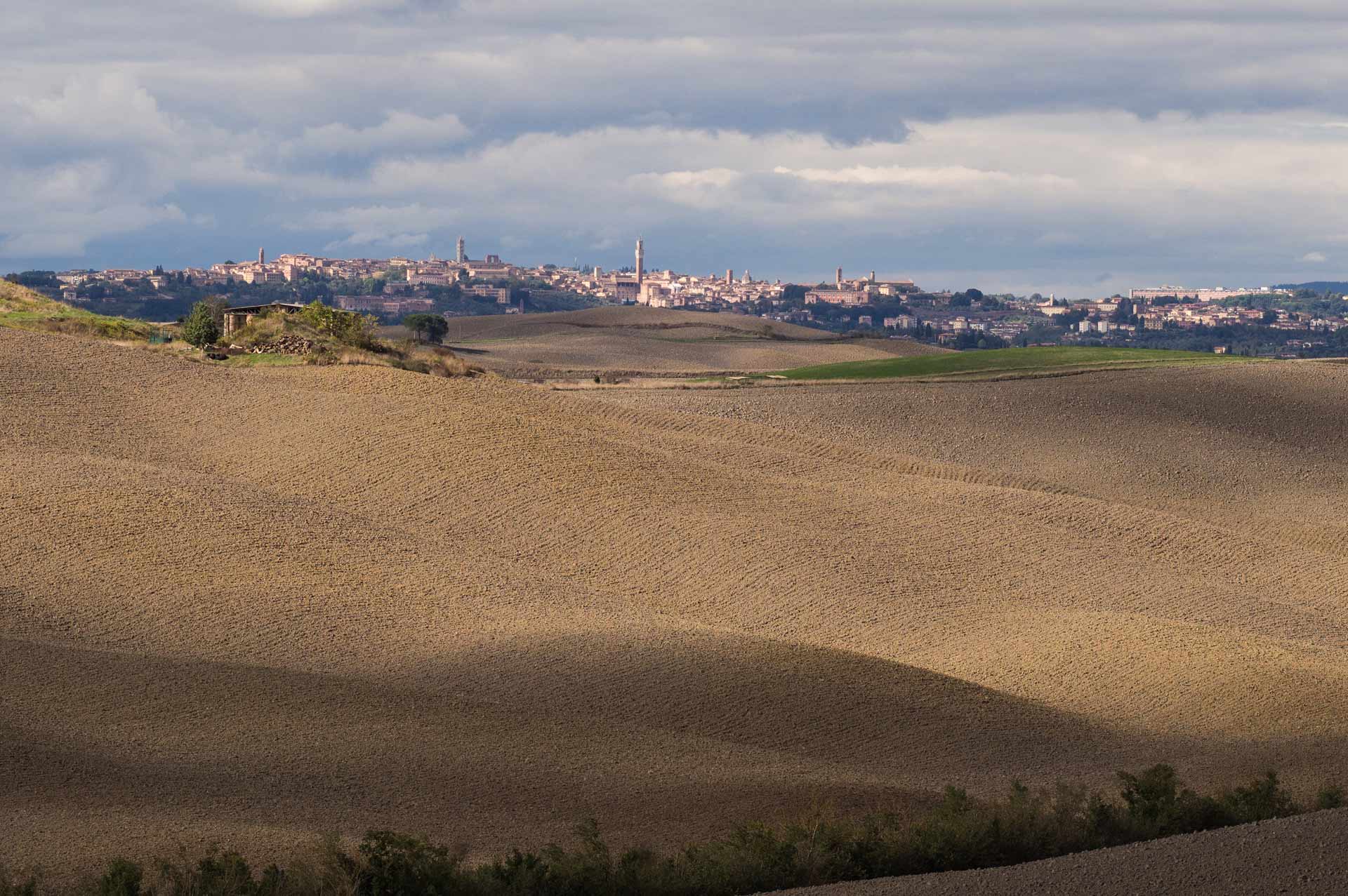 slice adventures - bike tour operator siena- immagine panorama eroica, val d'orcia