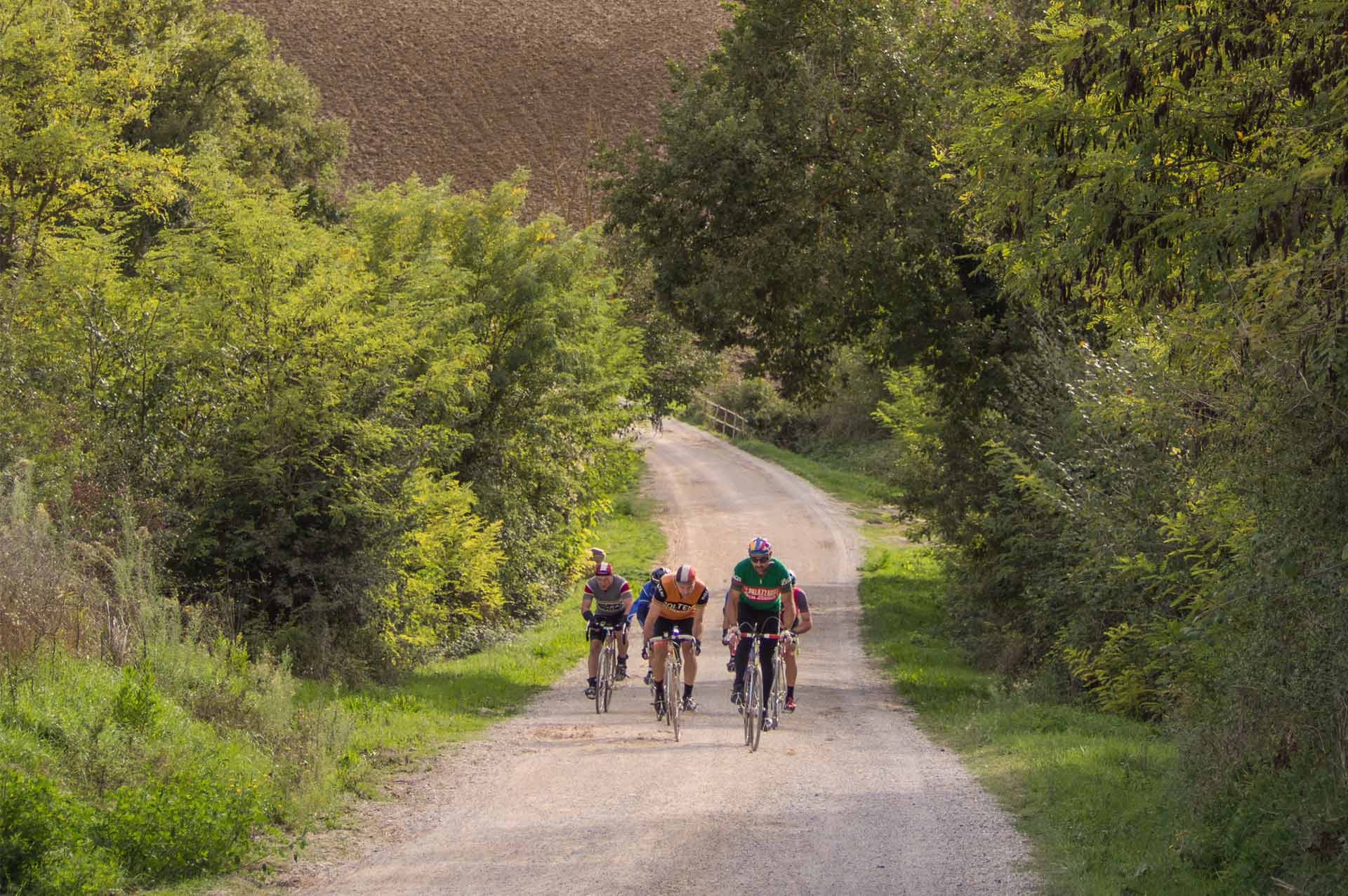 slice adventures - bike tour operator siena- immagine panorama eroica, val d'orcia