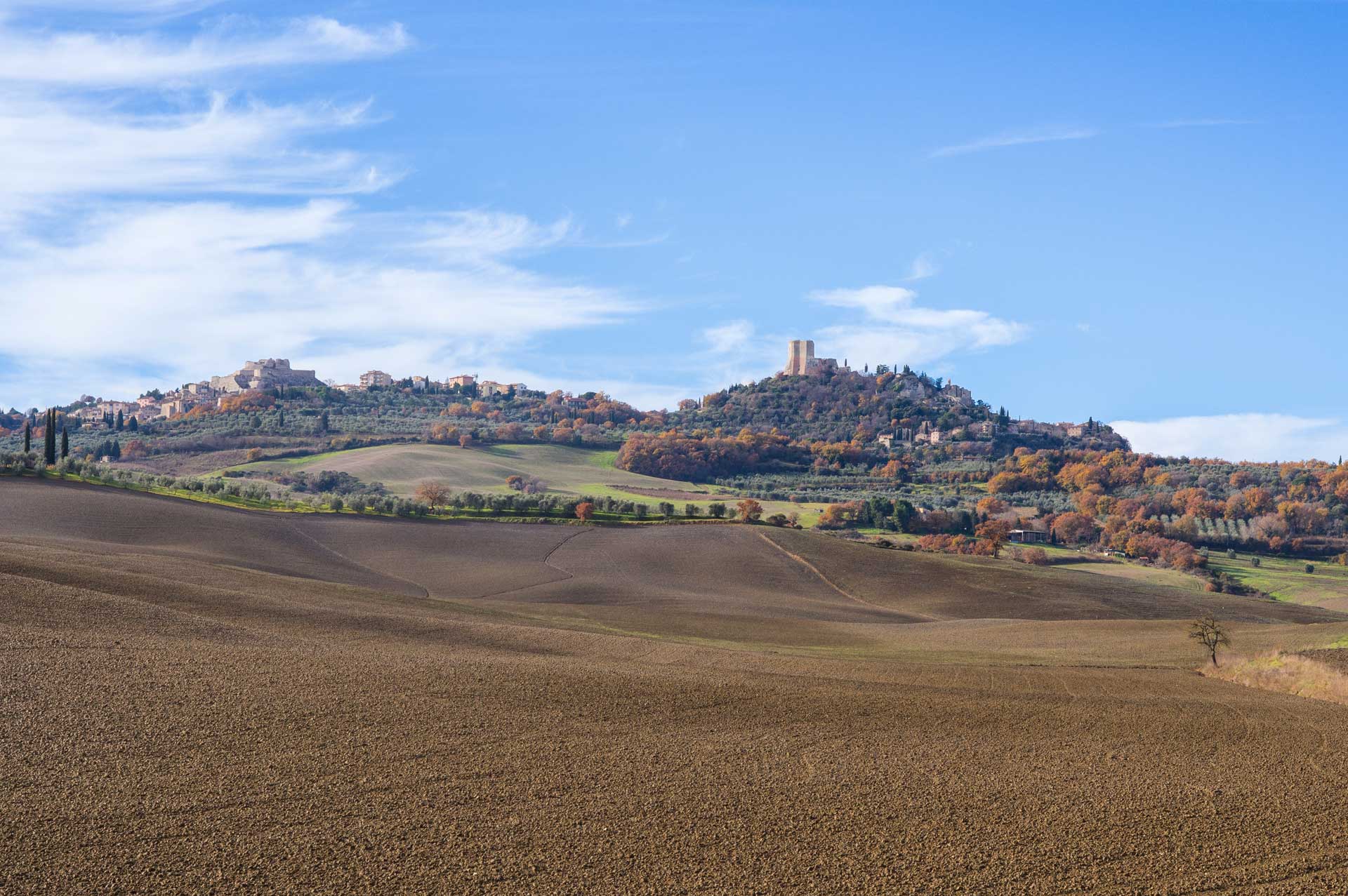 slice adventures - bike tour operator siena- immagine panorama Val d'Orcia